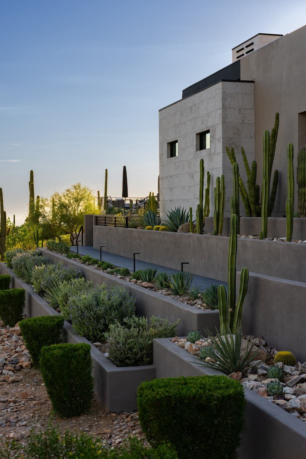 Desert wall and planting