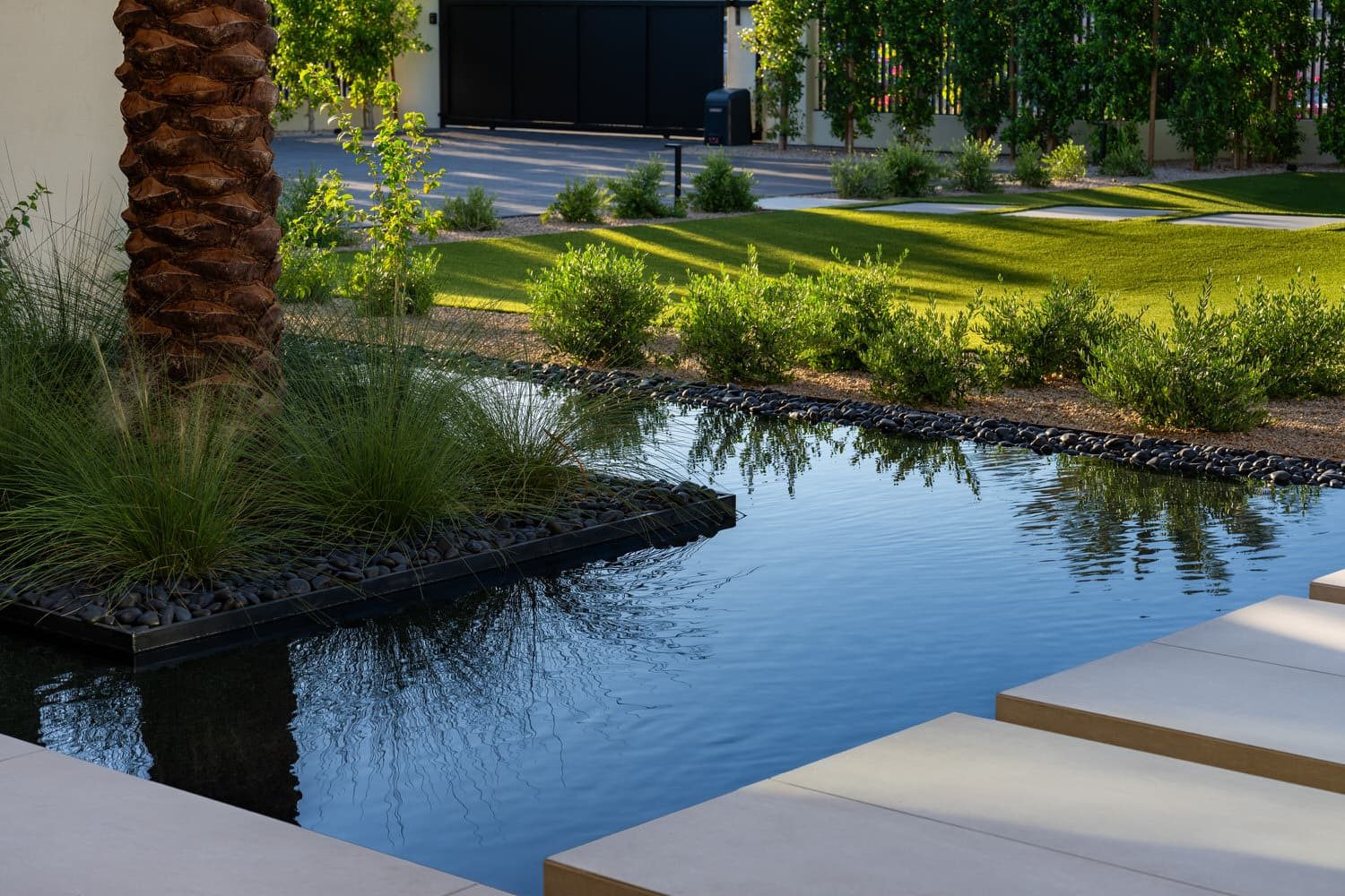 Ocotillo — palm reflected in the overflow